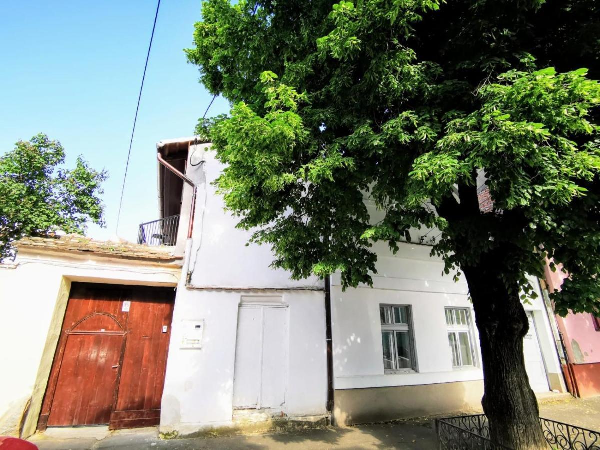 Studio Sibiu Eksteriør billede
